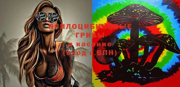 мет Балахна
