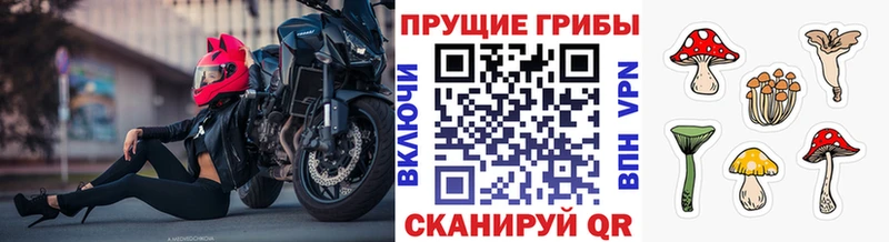 hydra маркетплейс  Малоярославец  Галлюциногенные грибы GOLDEN TEACHER 